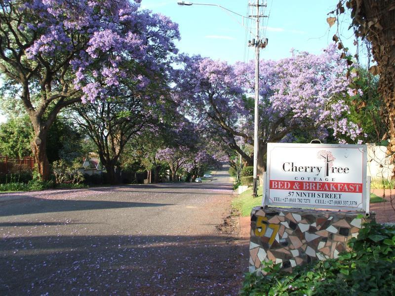 Cherry Tree Cottage B&B Linden Johannesburg Bagian luar foto